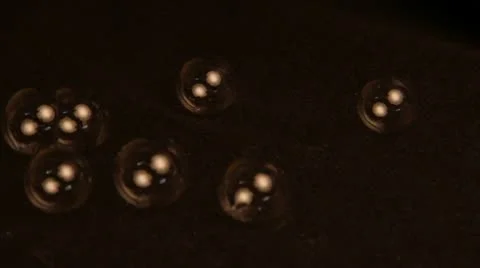 Close Up of Bubbles on Black Background Bubble Party Pretty Balls Stock Footage 22414341