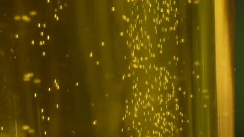 Close-up of Bubbles Rising in Golden Fresh Beer in Slow Motion. Stock Footage 340822961