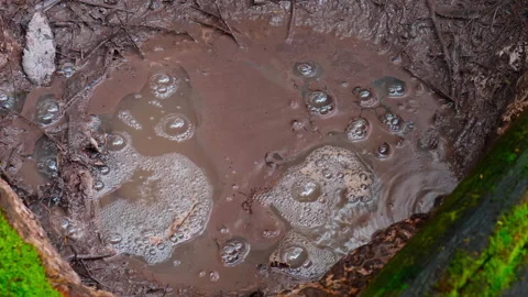 Close up of bubbling mud pool Video stock 250132523