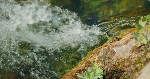 Close-up of bubbling stream water over mossy rock bank in lush Croatian forest Video stock 313705980