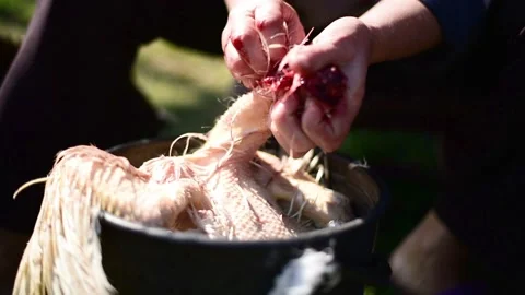 Close-up buchery guts a chicken. Scraping chicken feathers horizontal video Stock Footage 211165165