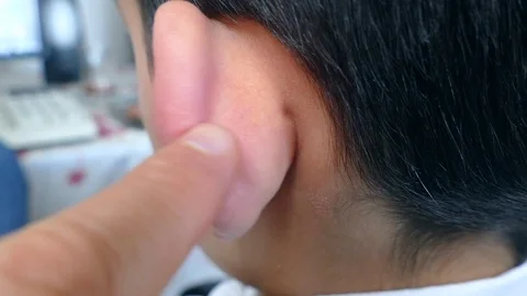 Close-up bucket ear, Stock Footage 104824504