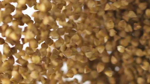 Close up buckwheat flying up on the white background in slow motion Vídeo Stock 148551778