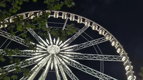 Close-up of the Budapest Ferris Wheel behind tree leaves at night Stock Footage 340554975