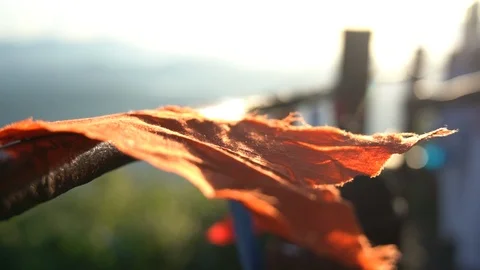 Close up of a buddhist prayer flags blowing in the wind at sunrise in a temple. Stock Footage