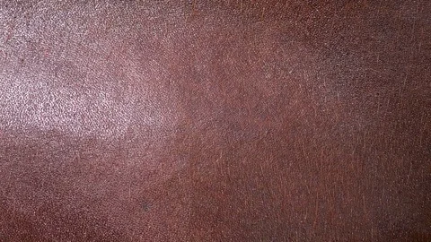 Close up buffalo skin texture Stock Footage 75770871
