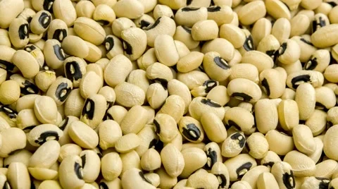 Close up of bulk raw dried black eyed bean legume seeds being scooped out wit Stock Footage 62717152