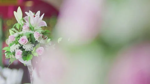 Close-Up of Bumblebee Pollinating Lavender Flowers Stock Footage 308259056