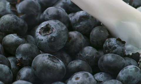 A close-up of a bunch of blueberries Foto stock