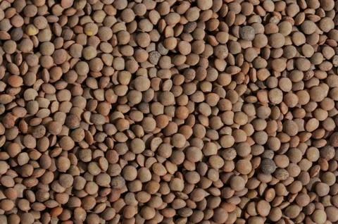 Close up of a bunch of brown lentils Stock Photos