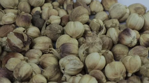 Close-up of a bunch of cardamom on a rotating table Stock Footage 266887870
