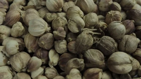 Close-up of a bunch of cardamom on a rotating table Stock Footage 266928381