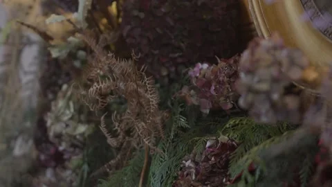 A close up of a bunch of dried flowers Stock-Footage 302471681