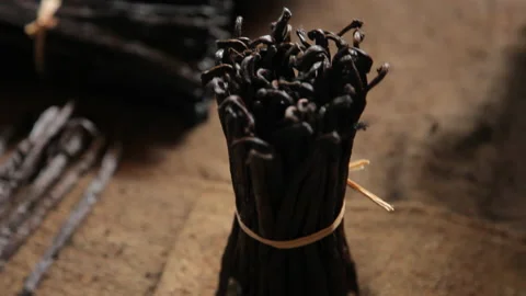 Close-Up of Bunch of Fermented Vanilla Pods with Smooth Camera Move Stock Footage 221441893