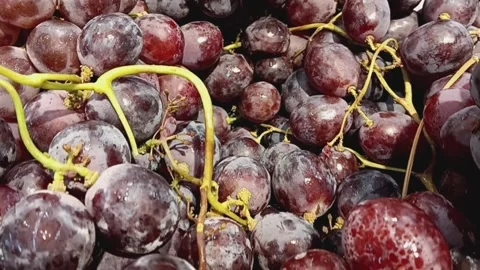 Close up of a bunch of fresh sweet red globe grapes on the supermarket. Video stock 278515648