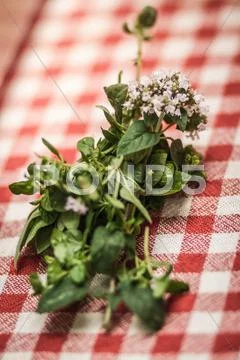 Close Up Of Bunch Of Herbs