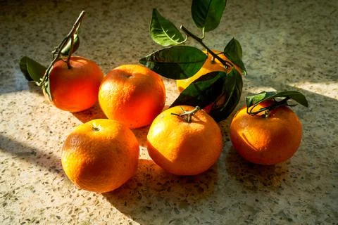 Close-up of a bunch of oranges in the sun Stockfoto's