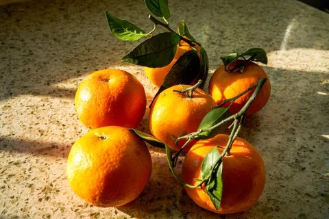 Close-up of a bunch of oranges in the sun Fotos de archivo