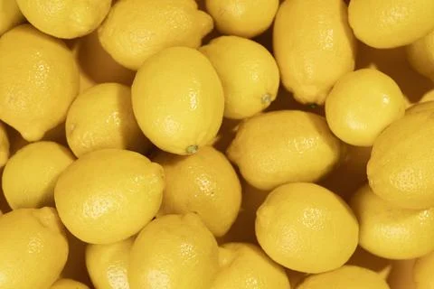 Close up bunch raw lemons. High quality beautiful photo concept Stock Photos