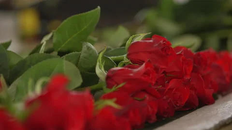 Close-up of bunch of red roses Stock Footage 50178295