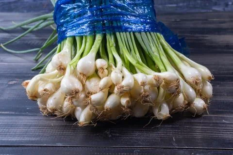 Close up of bunch of Scallion or spring onions Stock Photos
