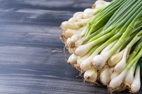 Close up of bunch of Scallion or spring onions Stock Photos