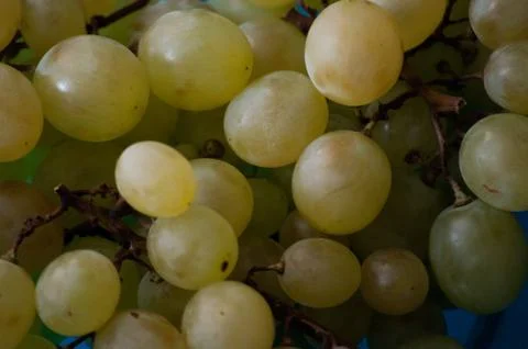 Close-up of a bunch of white grapes Stock Photos
