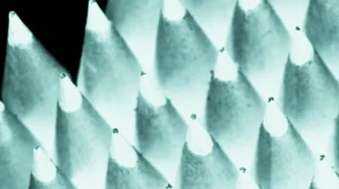 Close up of a bundle of lead pencils Stock Footage 20544427