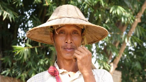Close-up of a Burmese with hat in 4K Stock Footage 94921900