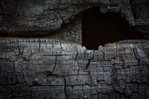 Close up of burn log Foto stock