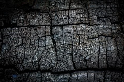 Close up of burn log Stock Photos