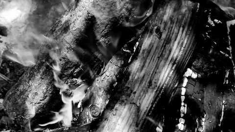 Close up of burning  bonfire in black and white Stock Footage 76950920