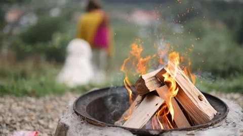 Close-up of burning bonfire at campsite Stock Footage 214895680