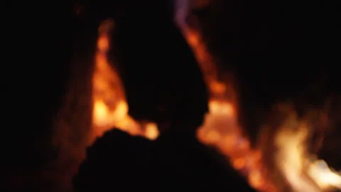 Close-up of a burning bonfire. Stock Footage 131117497
