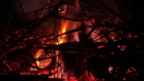 Close-up of burning branches. Beautiful blazing fire in the night Stock Footage 200493494