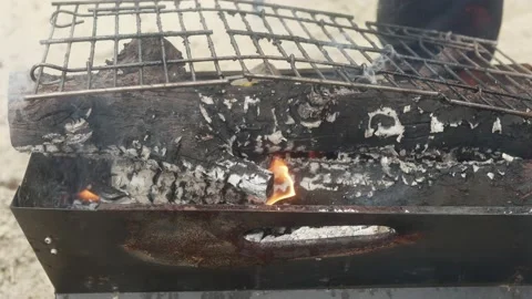 Close-up of burning branches in a camping barbecue Vídeos de archivo 171600916