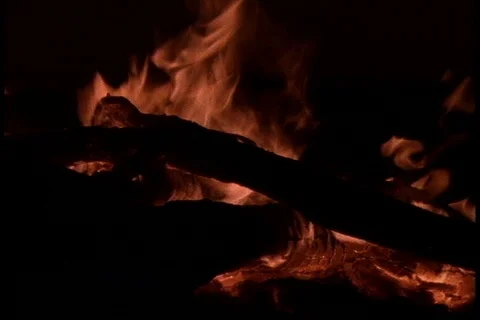 Close up of burning camp fire. Stock Footage 86752680