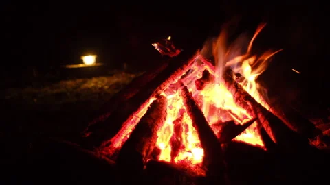 Close up of burning campfire and light lantern in night forest Stock Footage 325965262