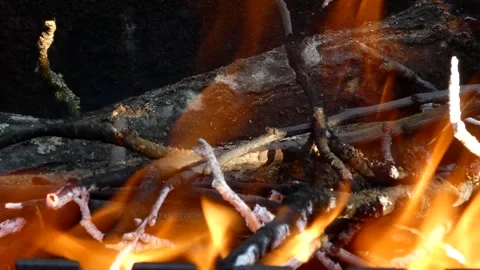 Close-up of burning campfire with bright orange flames Stock Footage 331284603