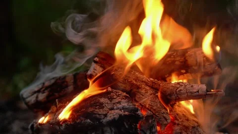Close up of Burning Campfire with Flames and Smoke in Forest Video stock 341878756