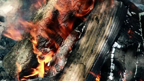 Close up of a burning campfire Stock Footage 76950936