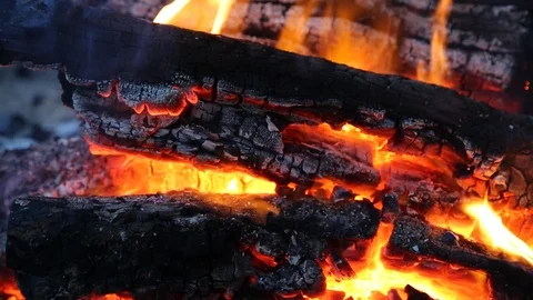 Close up of burning campfire Stock Footage 93530177