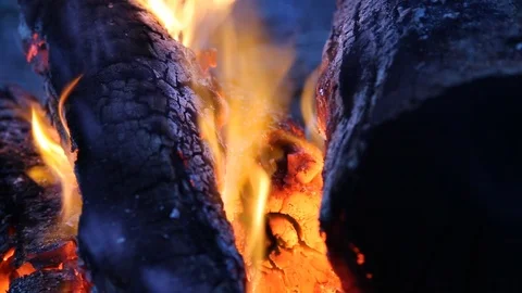 Close up of burning campfire Stock Footage 93530188