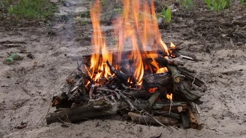 Close-up on a burning campfire in the forest Video stock 77688559