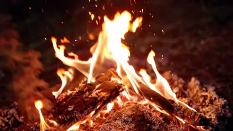 Close-up of a burning campfire with glowing logs and flying sparks at night Stock Footage 315094631