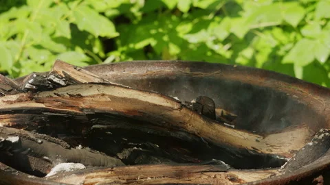 Close up of a burning campfire with logs and smoke outdoors in nature 動画素材 342377388