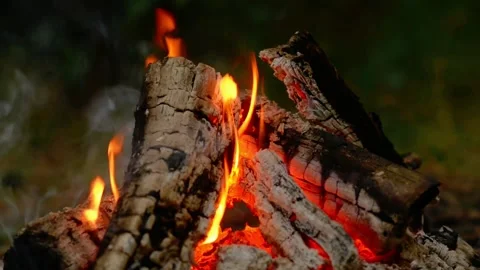 Close up burning campfire logs with bright glowing flames in forest 库存影片 341878543