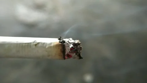 Close up of a burning cigarette with glowing ember and ash, macro footage. Stock Footage 336666101