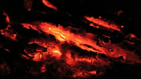 Close-Up, Burning Coals in a Burning Bonfire in the Forest Late in the Evening Stock Footage 107734301