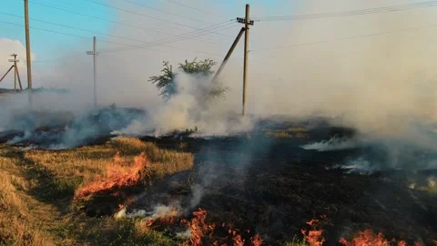 Close up burning dry stubble with hot ashes. Epic aerial view of smoking wild Stock Footage 165128201